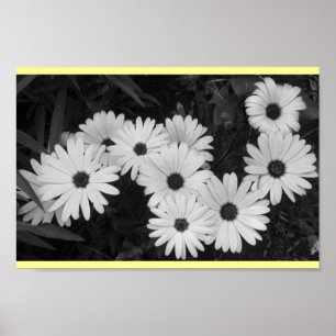 Daisy Poster