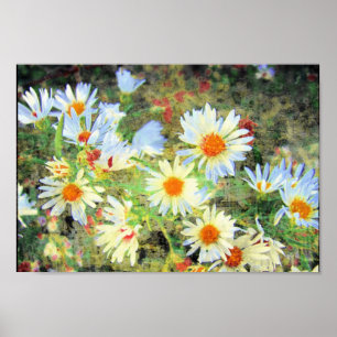 Daisy Poster