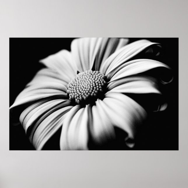 Daisy Poster (Framsidan)