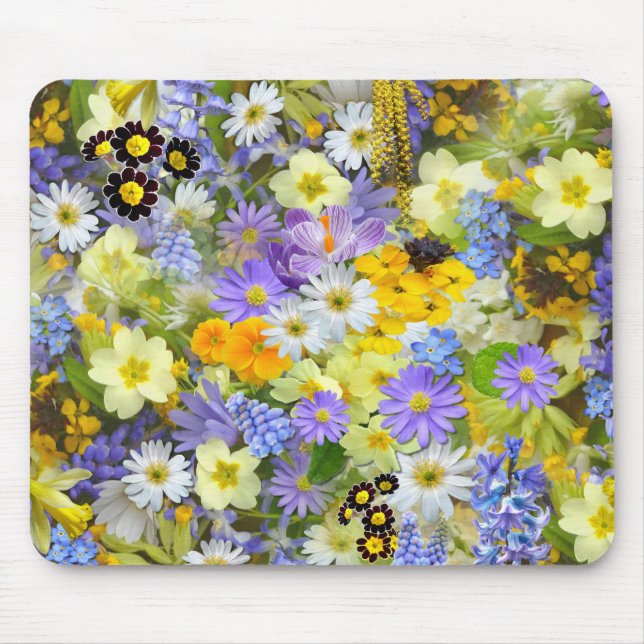 Daisy ,Primrose, Daffodil Flowers Musmatta (Framsidan)