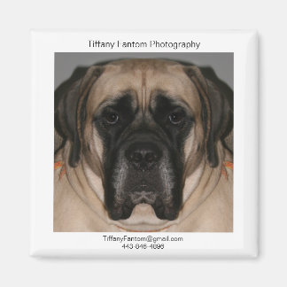 Daisy Promo Magnet