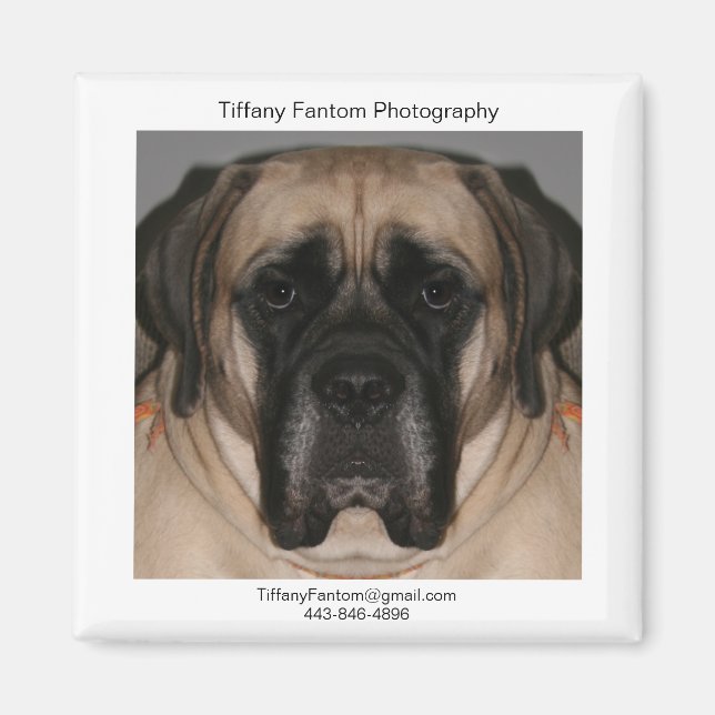 Daisy Promo Magnet (Framsidan)