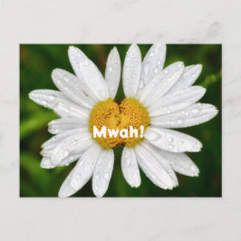 Daisy Pussar Födelsedag Alla hjärtans dag Hälsning Vykort