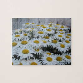Daisy Puzzle Pussel