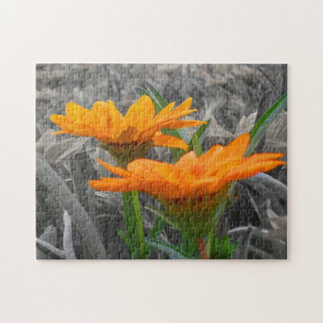 Daisy Puzzle Pussel (Horisontell)