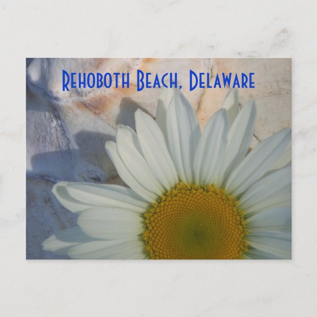 Daisy Rehoboth Beach vykort (Framsida)