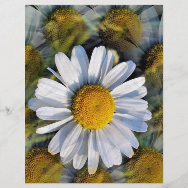 DAISY REKLAMBLAD (Framsidan)