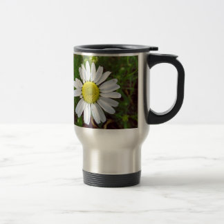 Daisy Resemugg