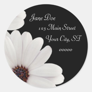 Daisy Runt Klistermärke
