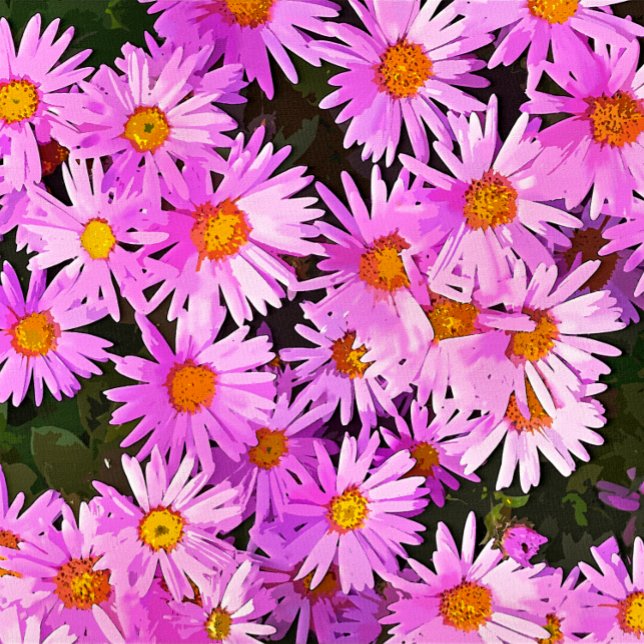 DAISY RUNT KLISTERMÄRKE (A watercolor of pretty pink daisies. )