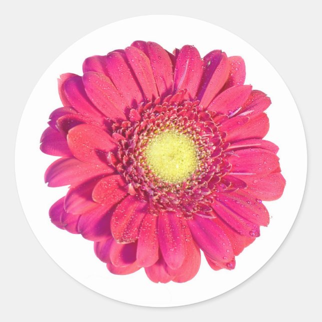 daisy runt klistermärke (Framsida)