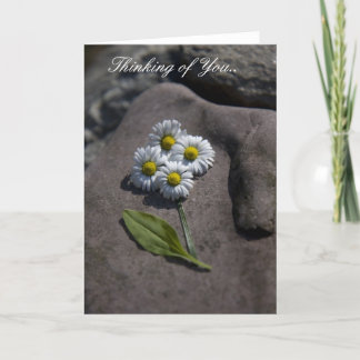 "Daisy" som är tänkande av dig. Kort