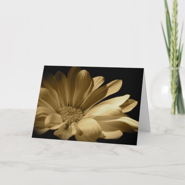Daisy - som är tänkande av dig kort (Framsida)
