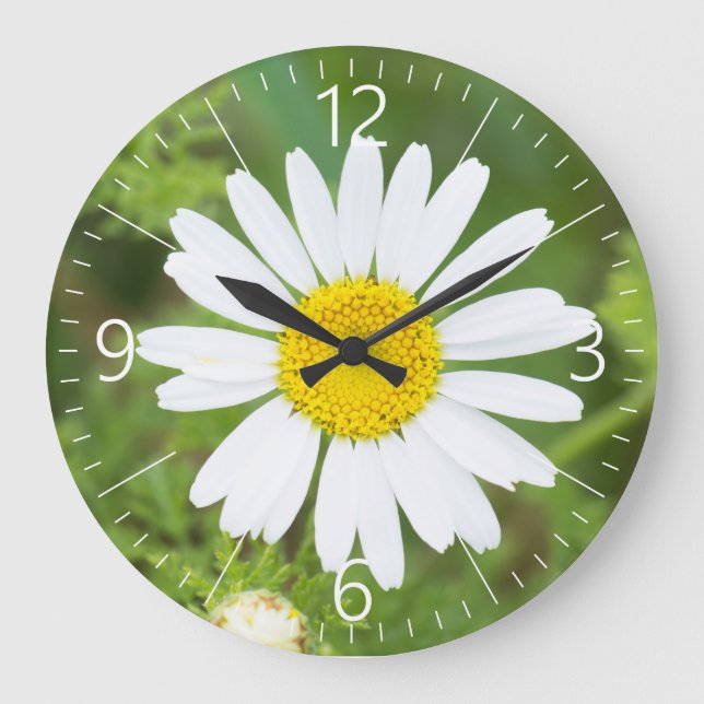 Daisy Stor Klocka (Framsida)