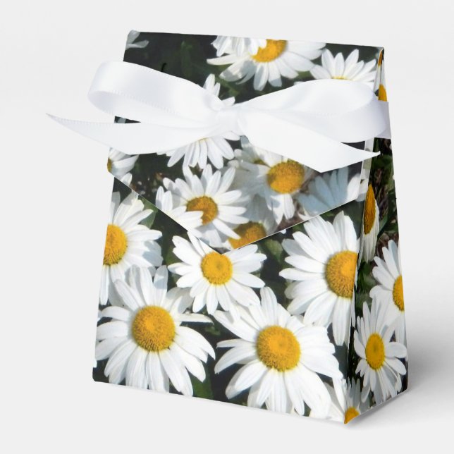 Daisy Sunshine Favor Box Presentaskar (Framsidan Sidan)