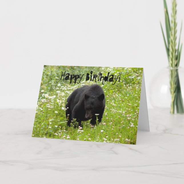 Daisy Svarta björnen, Grattis på födelsedagen Kort (Framsida)