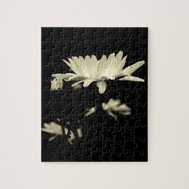 Daisy - svartvitt pussel (Vertikal)