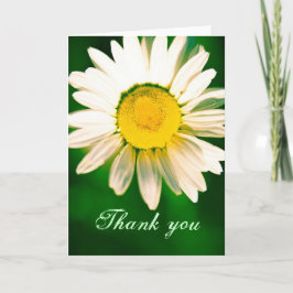 Daisy - tackkort