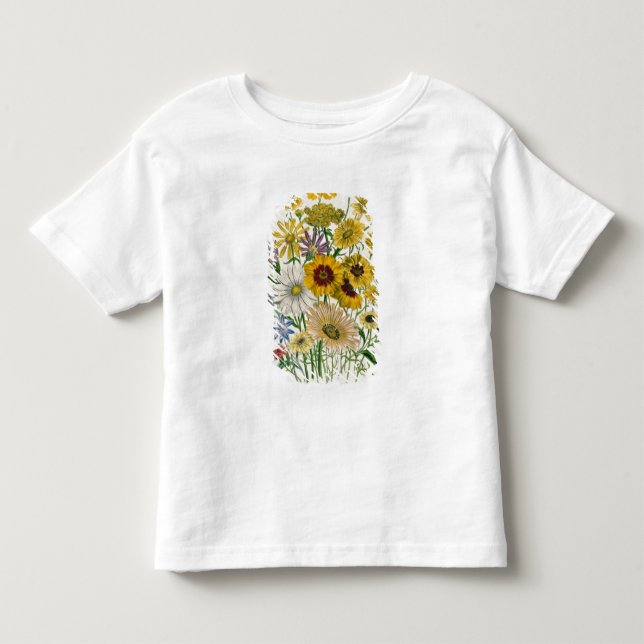 Daisy, tallrik 31 från Damen T Shirt (Framsida)