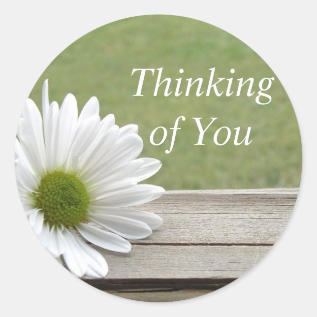 Daisy tema runt klistermärke (Framsida)