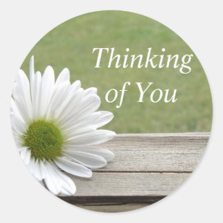 Daisy tema runt klistermärke