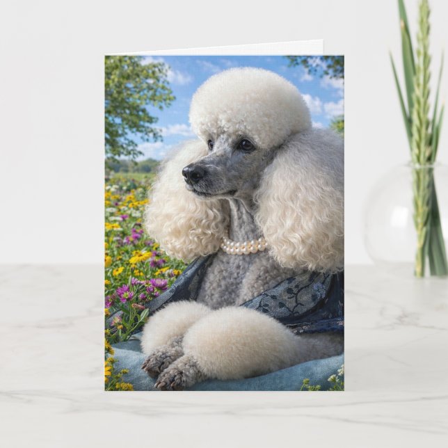Daisy The Poodle Blank Card Kort (Framsida)