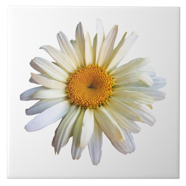 Daisy Tittar upp Kakelplatta (Framsidan)