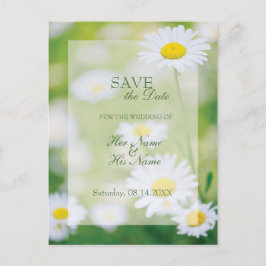 Daisy Tusenskönor Blomma Blommig Sommar Spara datu Meddelande Vykort