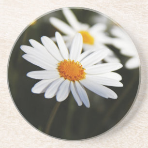 Daisy Underlägg