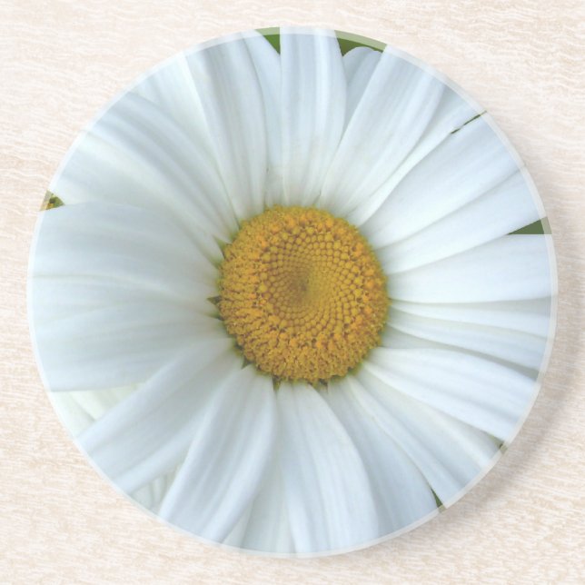 Daisy Underlägg Wildblommes Daisy Decor & Gifts (Framsidan)