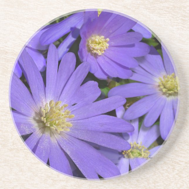 Daisy Underlägg Wildblommes Lila Daisy Decor (Framsidan)