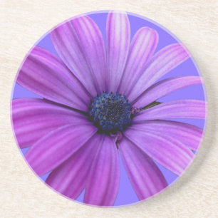 Daisy Underlägg Wildblommes Lila Daisy Decor Sandsten