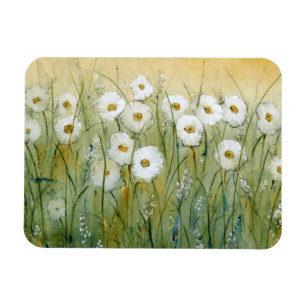 Daisy Vår I Magnet