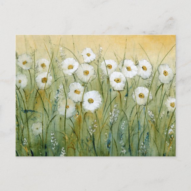 DAISY VÅR I VYKORT (Framsida)