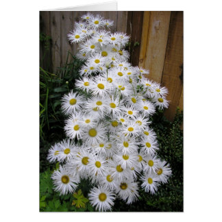 Daisy Vattenfall Hälsningskort