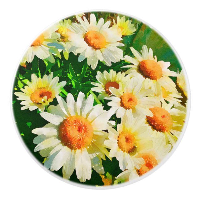 Daisy Vattenfärg Knopp (Framsidan)
