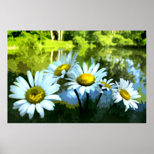 Daisy vid dammen poster