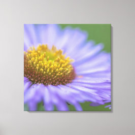 Daisy vid sjösidan canvastryck