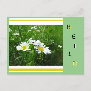 Daisy Vild Flowers Collage Cust. Hej vykort