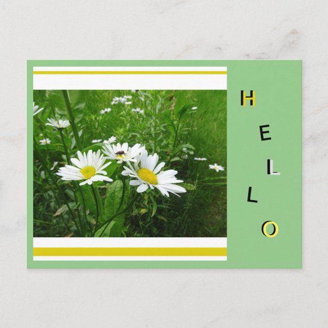 Daisy Vild Flowers Collage Cust. Hej vykort (Framsida)