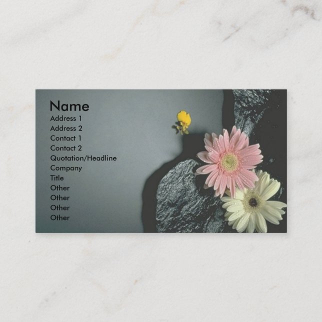 Daisy Visitkort (Framsida)