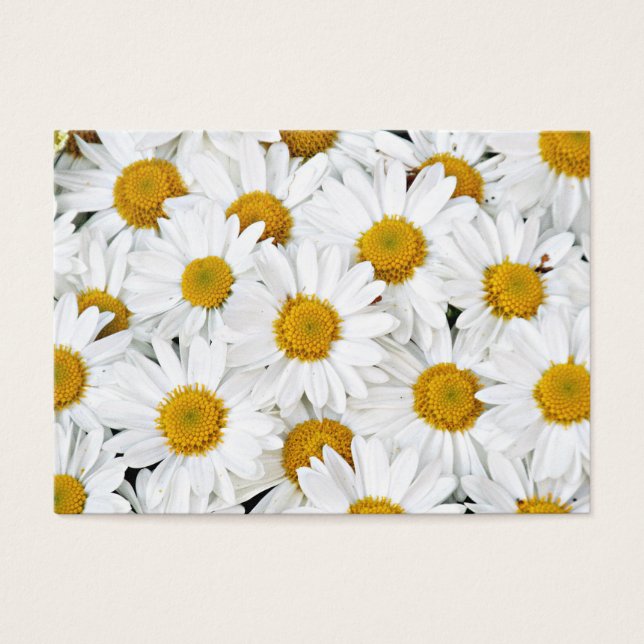 Daisy Visitkort (Framsidan)