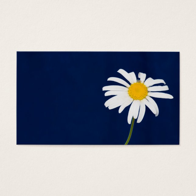 Daisy Visitkort (Framsidan)