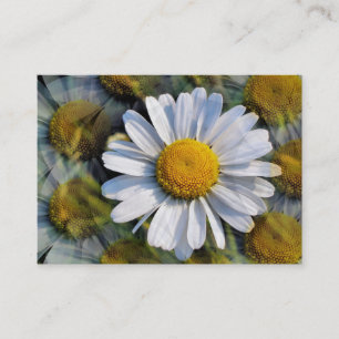 DAISY VISITKORT