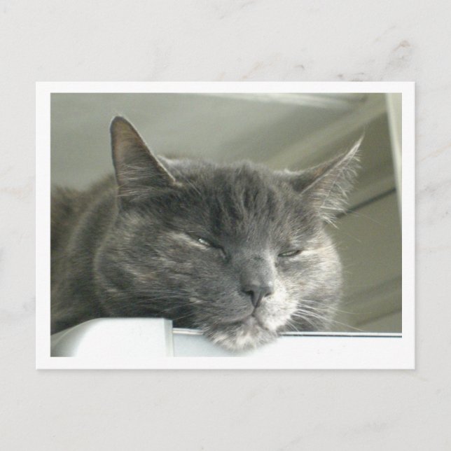 Daisy Vykort (Framsida)