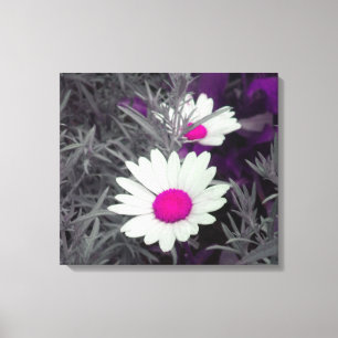 Daisy (w/Rosa) arbetsyta med Wrapped Canvas