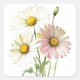 Daisy Watercolor Blomma Modern Professionell Fyrkantigt Klistermärke