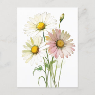 Daisy Watercolor Blomma Modern Professionell Helg Vykort