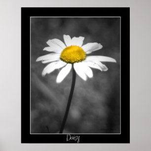 Daisyaffisch Poster