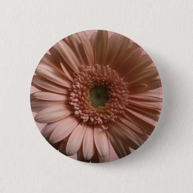 Daisyblomma Knapp (Framsida)